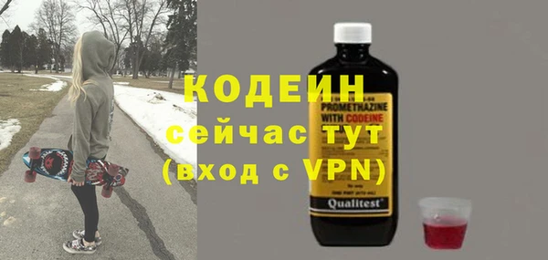 шишки Новодвинск