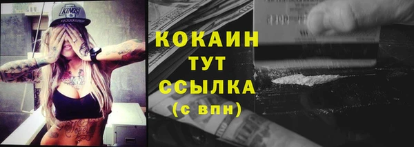 шишки Новодвинск