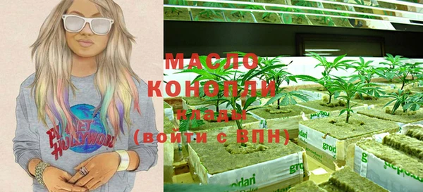 шишки Новодвинск