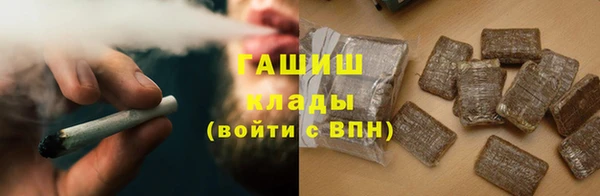 шишки Новодвинск
