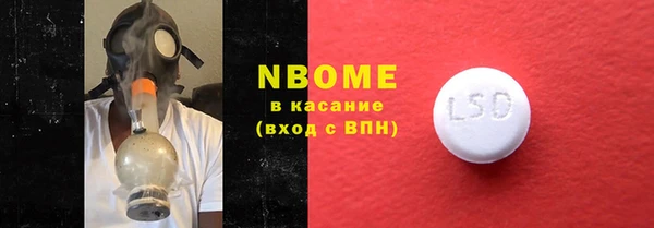 шишки Новодвинск