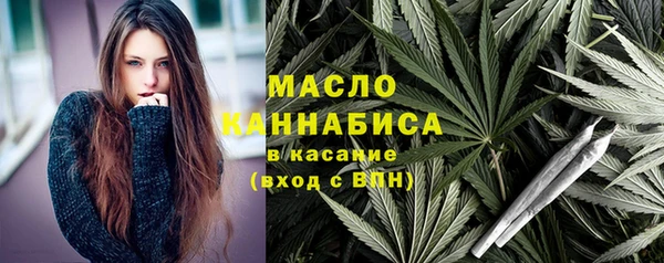 шишки Новодвинск