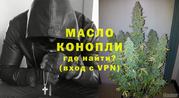шишки Новодвинск