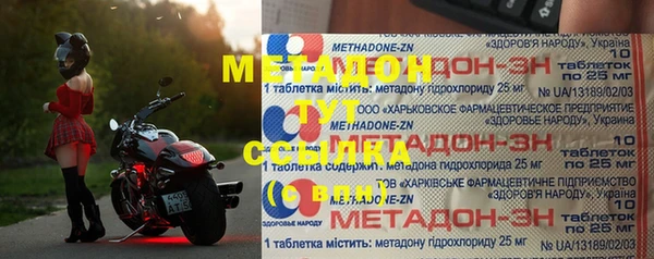 шишки Новодвинск