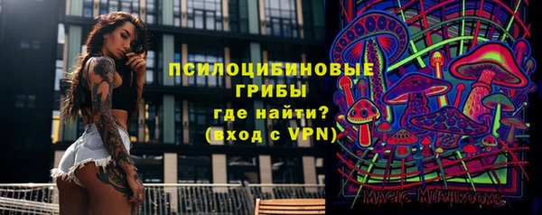 шишки Новодвинск