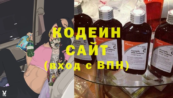 шишки Новодвинск