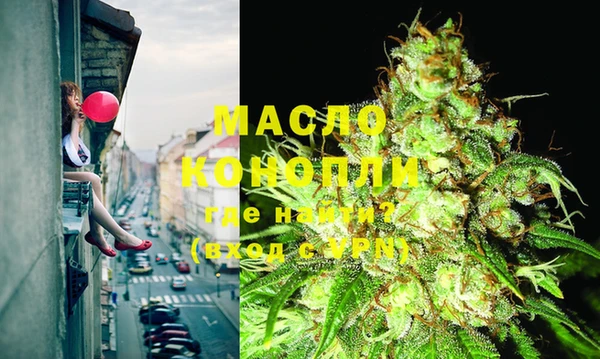 шишки Новодвинск