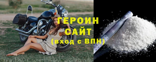 шишки Новодвинск
