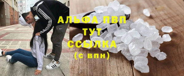 шишки Новодвинск