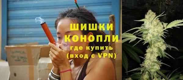 шишки Новодвинск