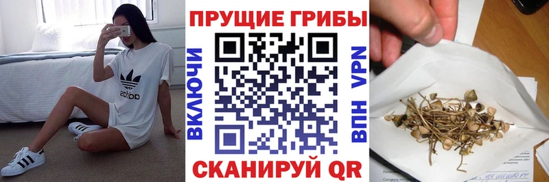 Псилоцибиновые грибы мухоморы  mega сайт  Борзя  закладки 