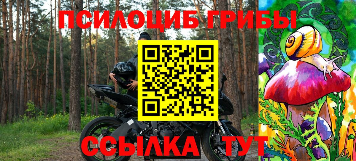 Псилоцибиновые грибы ЛСД Борзя