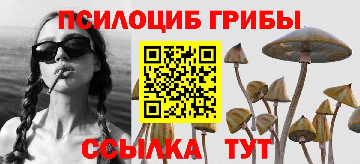 Галлюциногенные грибы Psilocybine cubensis  Борзя  Псилоцибиновые грибы мицелий 