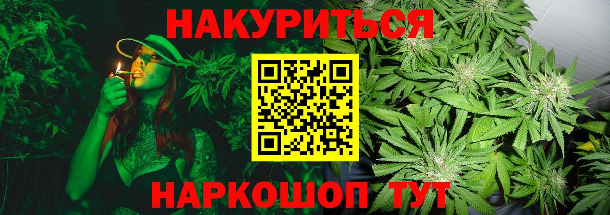 МАРИХУАНА сатива Борзя